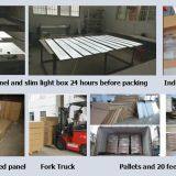 Colorwoo Led Slim Light Box for Store Decoration Advertising Display thumbnail-5