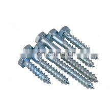 Stainless Steel SS304 Hexagon Head Wood Lag Screw DIN571
