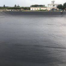 Fish Pond Liner Woven Reinforced HDPE Waterproof Geomembrane Fish Farming Cover Black Membrane thumbnail-3