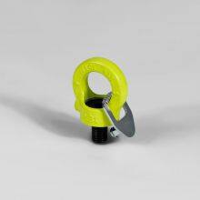 Alloy Steel Swivel Hoist Ring Anti Corrosion M30 6.70t Heavy Duty