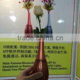 Clip-on Mini Usb Speakers in China Private Mold Bluetooth Speaker Manual thumbnail-5