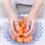 by 19 Years Manufacturer Good Quality Plastic Glove thumbnail-2