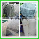 Insect Netting Garden Veggiemesh Organic Net Crop Veg Protection Various Sizes thumbnail-6