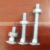 Self-drilling Screws and Carriage Bolt thumbnail-2