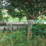 High Quality Low Carbon Steel Wire / Low Price Concertina Razor Barbed Wire For Airport Fence thumbnail-2