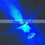 Wholesale Blue Red Green Warm White Yellow Mini Led Diode 5mm