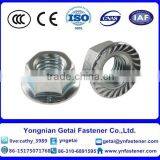 Carbon Steel DIN6923 Hex Flange Nuts thumbnail-4