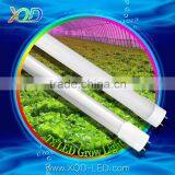 Led Grow Light Full Spectrum Hydroponic Low Power Flower Grow Light thumbnail-4