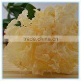 Chinese Snow Fungus Mushroom thumbnail-2