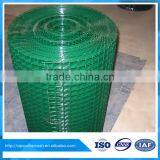 Hot Dipped Galvanized Welded Wire Mesh in roll