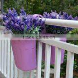 Garden Home Wall-mounted Flowerpots SG1523 thumbnail-1