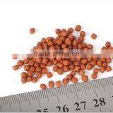 Twin Screw Extruder to Make Fish Meal thumbnail-6