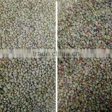 2017 Intelligent Image Double Side Ccd Camera Bean Sorting Machine thumbnail-5