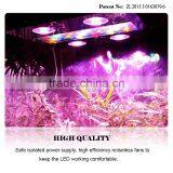 China Noah Patent Product Cob Full Spectrum Led Grow Light for Medical Plants thumbnail-3