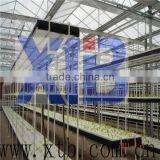 Multi Span Poly Film / PC Sheet Commercial Hydroponics Greenhouse thumbnail-1