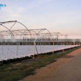 Factory Price High Quality Commercial/agricultural Used Film Covering Greenhouse for Sale thumbnail-1