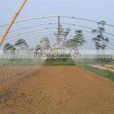 Low Cost Galvanized Steel Frame Greenhouse thumbnail-5