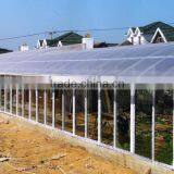 Easy Assemble Frp Greenhouse Panel /sheet/board thumbnail-3