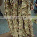 Nutrition Protein Screw Food Extrusion Production Line in Chenyang Machinery thumbnail-1