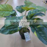 SJ12001162 Name Potted Decorative Foliage Plant Plastic Plant Indoor thumbnail-2