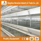Best Quality Automatic Cage Chicken-poultry Breeding Equipment of H Type 4 or 5 Tiers thumbnail-4