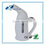 Hand Held Steamer Fabric Vertical Steam Iron Portable Mini Travel Garment Steamer thumbnail-2