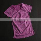 Plain O Neck Wholesale Short Sleeve Cheap High Quality Women Sport T Shirt thumbnail-4