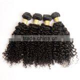 New Arrival Factory Price Top Quality 7A Virgin Hair Kinky Curl Human Hair Weaving thumbnail-2