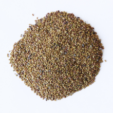 1kg Bulk Wholesale Pure Organic Alfalfa Grass Seed Lucerne Forage Crop Seeds for Sale thumbnail-1