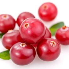 Cranberry Extract, Cranberry Proanthocyanidins, Cranberry Anthocyandins, Cranberry PAC BL-DMAC, Vaccinium Macrocarpon