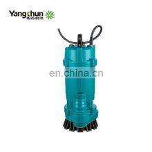 High Efficiency 0.75KW 220V Submersible Water Pump For Cleaning Water thumbnail-4