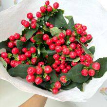 Fresh Cut Berry From China China Fresh Flower Supplier thumbnail-2