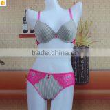 Free Shipping Zebra Line Decorative Sweet Girl Bra Underwear thumbnail-1