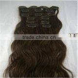 Natural Straight Human Clip in Hair Extensions