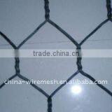 ISO9001:2000 Factory of PVC Coated Hexagonal Wire Mesh