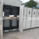 Setter Hatch Shaking Incubator Equipment