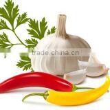 Garlic Oil FCC thumbnail-4