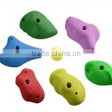 Mixed Rock Climbing Training Holds (6 pcs Pack)