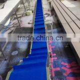 Plastic Belt Lifting Conveyor by Customized thumbnail-2