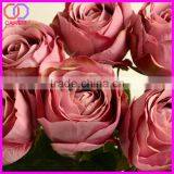 Preserved Rose With Stem thumbnail-3