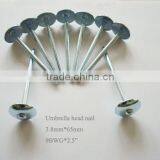 9BWG Galvanized Roofing Nails With Umbrella Head thumbnail-1