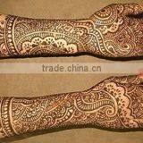 Henna Cone Mehndi-FDA Approved OEM thumbnail-3