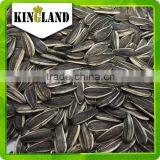 Top Quality Sunflower Seeds (24/68) for Sales/Exports thumbnail-3