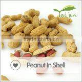Pure Peanut in Shell thumbnail-5