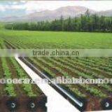 Desert Irrigation System thumbnail-1