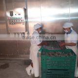 China Goods Wholesale Meat Single Drum Spiral Feezer thumbnail-1