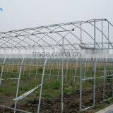 High Performance Pe Film Greenhouse For Strawberry thumbnail-3