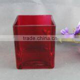 Transparent Glass Vase , Square Glass Flower Vase thumbnail-4