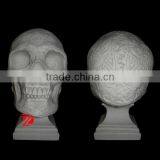 White Natural Stone Skull Statue thumbnail-1