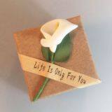 Jewelry Box thumbnail-5